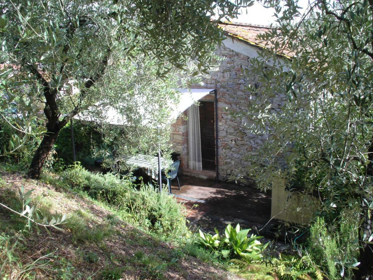 Il Fienile Villa Ripafratta Ngoại thất bức ảnh